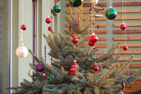 Az akasztott karácsonyfa