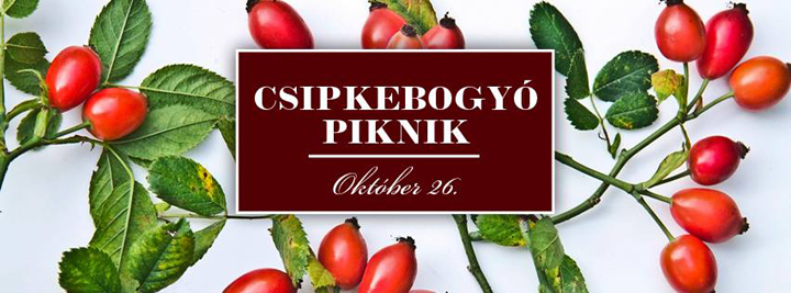 csipkebogyo_piknik720